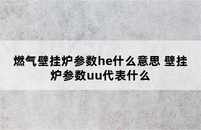 燃气壁挂炉参数he什么意思 壁挂炉参数uu代表什么